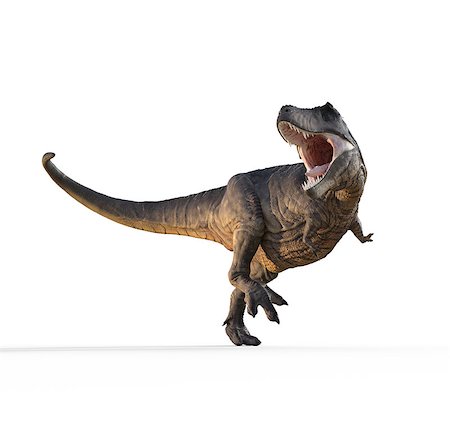 3d render dinosaur - trex white on white background. This is a 3d render illustration Stock Photo - Budget Royalty-Free & Subscription, Code: 400-09070504