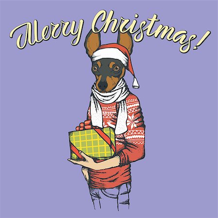 fashion dog cartoon - Dog toy terrier  vector Christmas concept. Illustration of dog  in human sweatshirt with gift in his hads celebrating new year Stock Photo - Budget Royalty-Free & Subscription, Code: 400-09084632