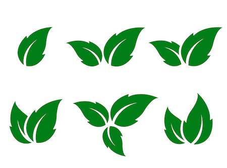 natural set of green leaves silhouettes on white background Stock Photo - Budget Royalty-Free & Subscription, Code: 400-09088368