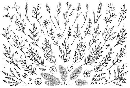 Hand drawn set of tree branches with leaves, flowers, field grass, decorative dividers, design elements Stock Photo - Budget Royalty-Free & Subscription, Code: 400-09088458