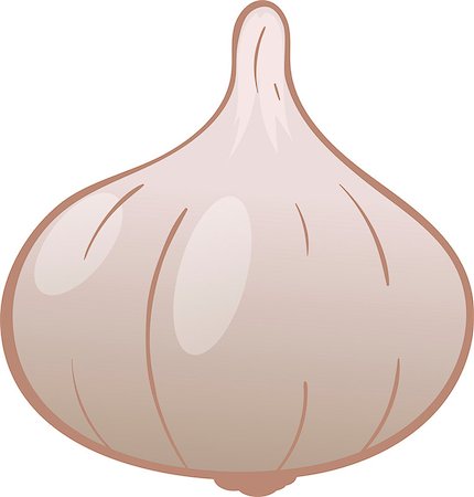 siletskyi (artist) - Illustration of garlic on a white background, vector image Stock Photo - Budget Royalty-Free & Subscription, Code: 400-09088929
