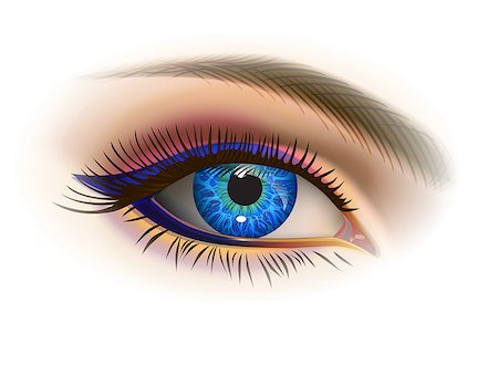 pavelmir (artist) - Blue female eye and makeup. Realistic vector image Stockbilder - Microstock & Abonnement, Bildnummer: 400-09089495