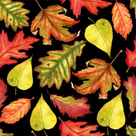 Seamless watercolor pattern with red, yellow and green-yellow autumn leaves on black background. Endless artwork hand-drawn. Floral wallpaper autumn plant forest Foto de stock - Royalty-Free Super Valor e Assinatura, Número: 400-09080009