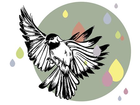 vector illustration of a hand drawn bird on a flat design grey-blue circle and pastel coloured rain on the background Foto de stock - Super Valor sin royalties y Suscripción, Código: 400-09080227