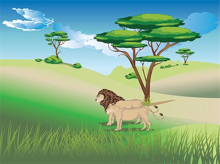 African savannah landscape with couple of lions. Stock Photo - Budget Royalty-Free & Subscription, Code: 400-09080577