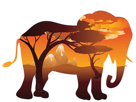 simsearch:400-04815686,k - Colorful sunset scene, african landscape with silhouette of trees and elephant. Foto de stock - Super Valor sin royalties y Suscripción, Código: 400-09080573