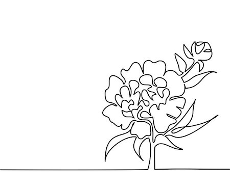peony art - Beautiful flowers peony. Continuous line drawing. Vector illustration Stock Photo - Budget Royalty-Free & Subscription, Code: 400-09080625