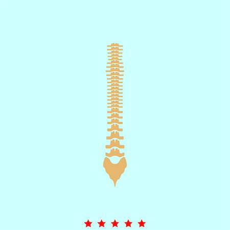 Human spine  it is icon . Simple style . Stock Photo - Budget Royalty-Free & Subscription, Code: 400-09080856