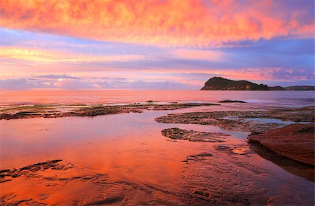 simsearch:400-07514503,k - Stunning vivid sunrise over Lion Island from the rocks at Pearl Beach, Australia Stock Photo - Budget Royalty-Free & Subscription, Code: 400-09081203