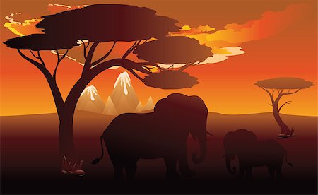simsearch:400-04815686,k - Colorful sunset scene, african landscape with silhouette of trees and elephant. Foto de stock - Super Valor sin royalties y Suscripción, Código: 400-09081244