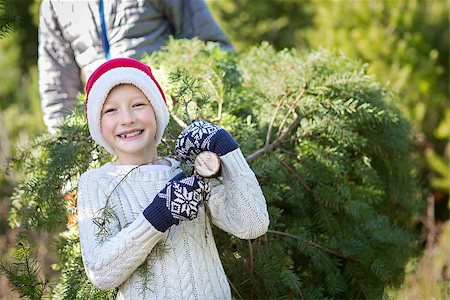 father son market - excited little boy in santa's hat carrying christmas tree with his father at farm, winter holiday concept Stock Photo - Budget Royalty-Free & Subscription, Code: 400-09082514