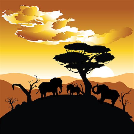 simsearch:400-04815686,k - Colorful sunset scene, african landscape with silhouette of trees and elephant. Foto de stock - Super Valor sin royalties y Suscripción, Código: 400-09082757