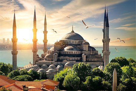 Seagulls over Blue Mosque and Bosphorus in Istanbul, Turkey Stock Photo - Budget Royalty-Free & Subscription, Code: 400-09082798