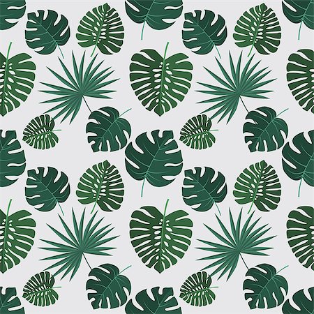 Vector green illustration of palm leaves background. Exotic seamless pattern Stock Photo - Budget Royalty-Free & Subscription, Code: 400-09082982