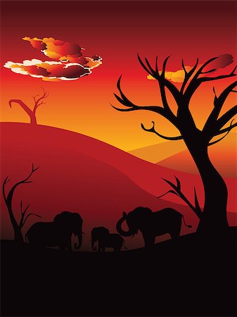 simsearch:400-04815686,k - Colorful sunset scene, african landscape with silhouette of trees and elephant. Foto de stock - Super Valor sin royalties y Suscripción, Código: 400-09083653
