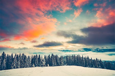 simsearch:400-04765849,k - Fantastic evening winter landscape with snow slope and pine tree forest. Dramatic sunset pink clouds sky. Nature landscape. Travel background. Retro toning filter. Holiday, travel, sport, recreation Foto de stock - Royalty-Free Super Valor e Assinatura, Número: 400-09094797