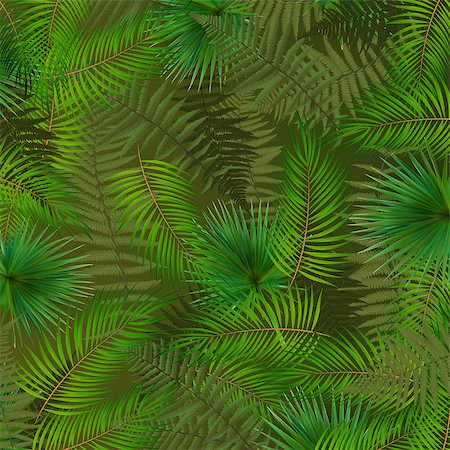 Colorful naturalistic background from the leaf of Libistones (Palm). Vector Illustration. EPS10 Stock Photo - Budget Royalty-Free & Subscription, Code: 400-09095148