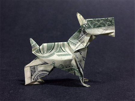 schottischer terrier - This is a beautiful artpiece that is created with real money. Stockbilder - Microstock & Abonnement, Bildnummer: 400-09096785