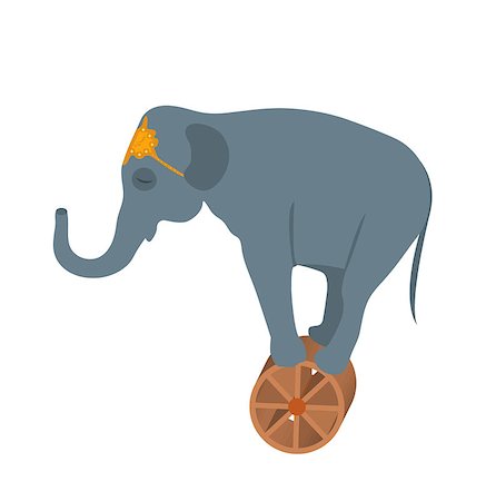 elephant balancing - Circus elephant on the wheel icon style flat, isolated on white background. Vector illustration Stock Photo - Budget Royalty-Free & Subscription, Code: 400-09097312