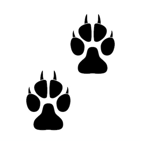 Footprints of paws of an animal on a white background. Vector illustration Stock Photo - Budget Royalty-Free & Subscription, Code: 400-09097713