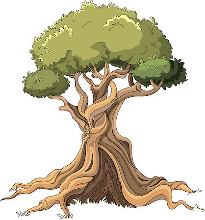 Illustration of majestic tree Stock Photo - Budget Royalty-Free & Subscription, Code: 400-09097986