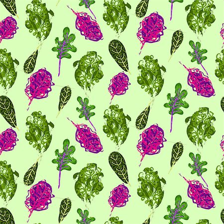 Kale vegetable hand drawn seamless pattern. Different types of green cabbage salad. Stock Photo - Budget Royalty-Free & Subscription, Code: 400-09098221