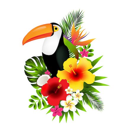 Toucans And Flowers Gradient Mesh, Vector Illustration Stock Photo - Budget Royalty-Free & Subscription, Code: 400-09090334