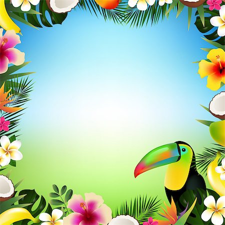 Tropical Frame, Vector Illustration, With Gradient Mesh Foto de stock - Super Valor sin royalties y Suscripción, Código: 400-09090336