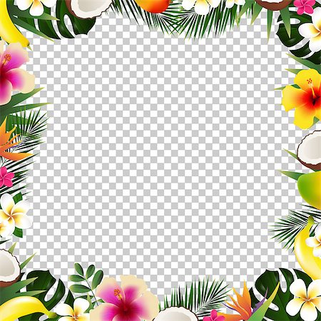 flower sale - Tropical Frame Isolated, With Gradient Mesh, Vector Illustration Stock Photo - Budget Royalty-Free & Subscription, Code: 400-09090337