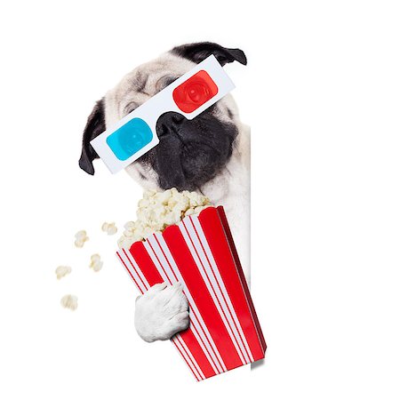 simsearch:400-07055954,k - pug dog at cinema watching the  movies  with 3d glasses isolated on white background , with popcorn snak Stockbilder - Microstock & Abonnement, Bildnummer: 400-09091954