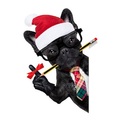 finger knot reminder - office businessman french bulldog dog with finger ribbon reminder , to not forget something important, behind a  blank white banner or placard, on christmas holidays vacation with santa claus hat Stock Photo - Budget Royalty-Free & Subscription, Code: 400-09091956