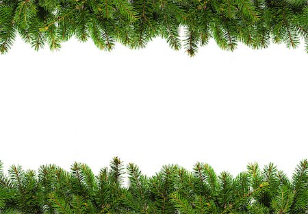 Christmas tree branches on white background as a border or template for christmas card Stock Photo - Budget Royalty-Free & Subscription, Code: 400-09092126