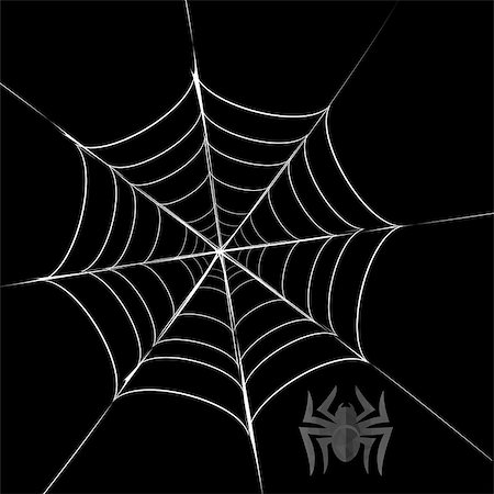 simsearch:400-08200203,k - Polygonal Grey Spider and Her  Cobweb on Black Background Foto de stock - Royalty-Free Super Valor e Assinatura, Número: 400-09092708