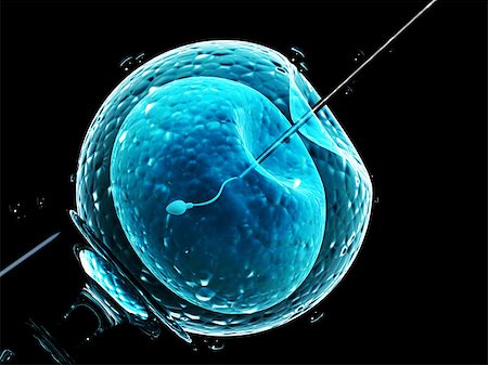 simsearch:614-00776604,k - Cell injection - artificial insemination. Needle puncture the cell membrane. Spermatozoon in egg. Isolated on black background. 3d render Stock Photo - Budget Royalty-Free & Subscription, Code: 400-09093165