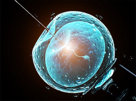 simsearch:614-00388147,k - Cell injection - artificial insemination. Needle puncture the cell membrane. Spermatozoon in egg. Isolated on black background. 3d render Foto de stock - Royalty-Free Super Valor e Assinatura, Número: 400-09093166