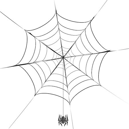 simsearch:400-08200203,k - Polygonal Grey Spider and Her  Cobweb on White Background Stock Photo - Budget Royalty-Free & Subscription, Code: 400-09093537
