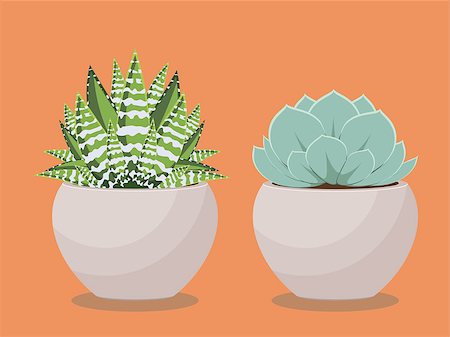 potted - Popular houseplant succulent growing in a pot illustration. Foto de stock - Super Valor sin royalties y Suscripción, Código: 400-09108705