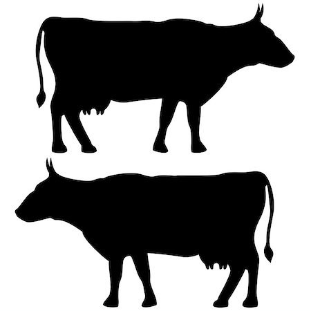 simsearch:400-09115208,k - Cow icon black  fill color set Flat illustration Foto de stock - Super Valor sin royalties y Suscripción, Código: 400-09109471
