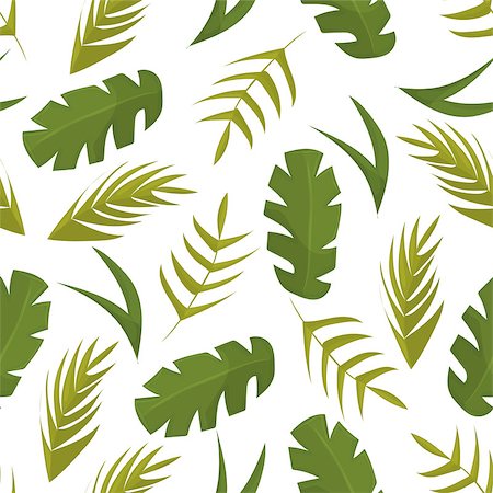 simsearch:400-08754428,k - Seamless pattern with tropical leaves on white background vector Stock Photo - Budget Royalty-Free & Subscription, Code: 400-09114021