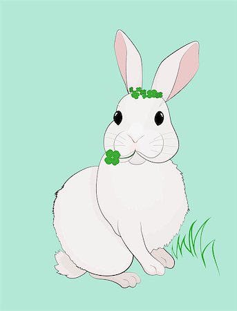 simsearch:400-05374611,k - Easter white Bunny and Four Leaf Clover on green background Foto de stock - Super Valor sin royalties y Suscripción, Código: 400-09115142