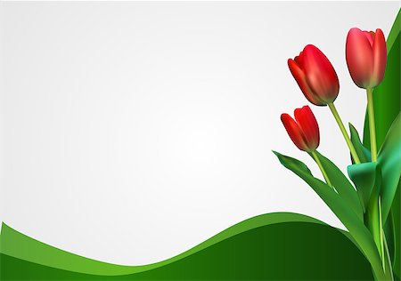 simsearch:6102-03750354,k - Abstract Backgroundn with Tulips Flowers. Vector Illustration EPS10 Photographie de stock - Aubaine LD & Abonnement, Code: 400-09115162
