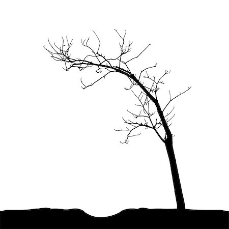 simsearch:400-08379558,k - Tree Silhouette Isolated on White Backgorund. Vecrtor Illustration. EPS10 Fotografie stock - Microstock e Abbonamento, Codice: 400-09115647