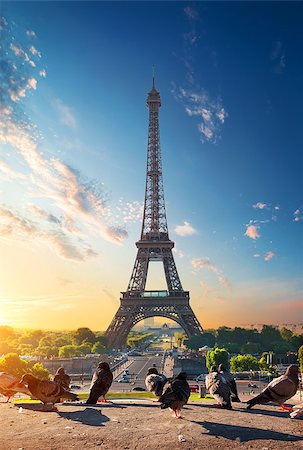 simsearch:400-05906647,k - Eiffel Tower and doves at sunrise in Paris, France Stock Photo - Budget Royalty-Free & Subscription, Code: 400-09117763