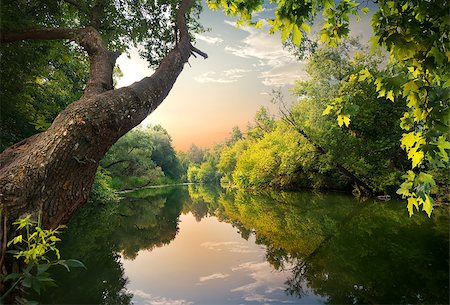 simsearch:400-06867510,k - Evening on the river in the forest Stock Photo - Budget Royalty-Free & Subscription, Code: 400-09117770