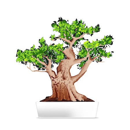 Bonsai in white pot. Vector illustration. Eps 10 Stock Photo - Budget Royalty-Free & Subscription, Code: 400-09117811