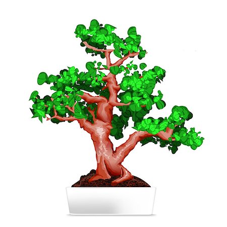 Bonsai in white pot. Vector illustration. Eps 10 Stock Photo - Budget Royalty-Free & Subscription, Code: 400-09117812
