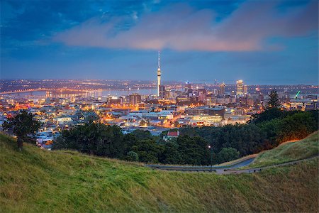 simsearch:400-08863942,k - Cityscape image of Auckland skyline, New Zealand taken from Mt. Eden at dawn. Photographie de stock - Aubaine LD & Abonnement, Code: 400-09119858