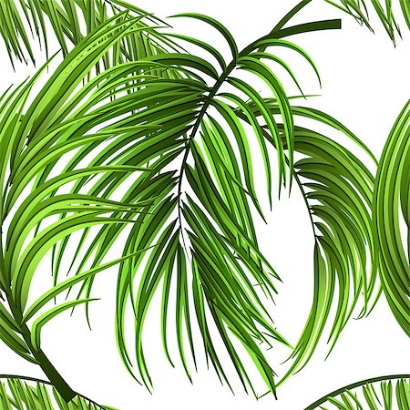 Tropical palm leaves, jungle leaves seamless vector floral seamless pattern background. Vector illustration. Eps 10 Stock Photo - Budget Royalty-Free & Subscription, Code: 400-09110546