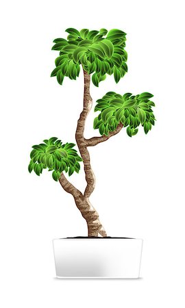 Bonsai tree isolated on white. Element of home decor. The symbol of growth and ecology. Vector illustration. Eps 10 Stock Photo - Budget Royalty-Free & Subscription, Code: 400-09110552