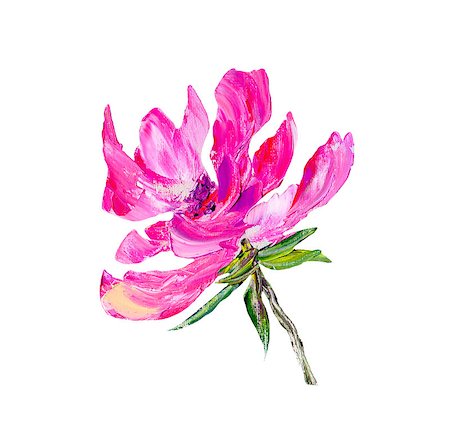 peony art - Hand painted modern style purple flower isolated on white background. Spring flower seasonal nature card. Oil painting Stock Photo - Budget Royalty-Free & Subscription, Code: 400-09110569